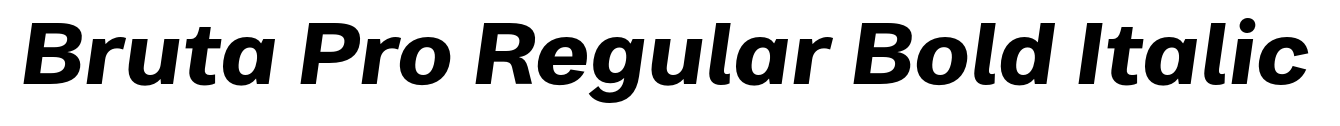 Bruta Pro Regular Bold Italic
